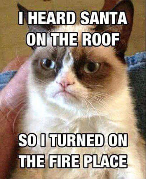 AlteaLaSueca's tweet photo. Algunas trabajamos hoy... #FelizNavidad #MerryChristmas #GodJul #grumpycatchristmas https://t.co/jWUSaW5j3X
