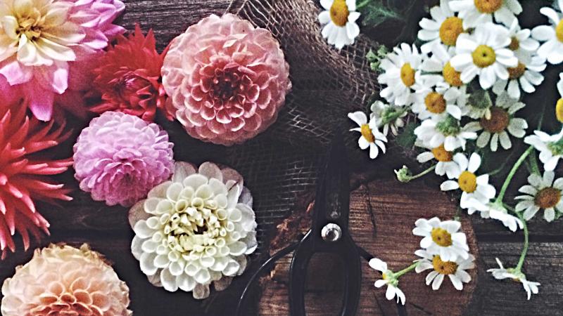 aluxium's tweet photo. bloomin' beautiful: how to create a floral table arrangement
 https://t.co/QlS4sX9dmF https://t.co/PYOxsLRUbd