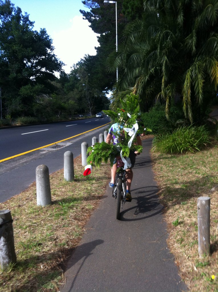 CarloJonkerman's tweet image. Anybody missing their #Christmas tree... I know where you can find it. #treemendous #treerific #