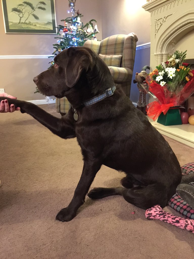 Want their destroyed presents back!