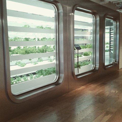 bovinzorin's tweet photo. #japan #tokyo #日本 #東京 #銀座 #ginza #urbanfarming #10floor #tokyo by anais.cipriano https://t.co/nVJOkDByGD