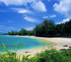 Guys, please help reach my goal - Fun in Hawaii https://t.co/W6u1v7nNTC @manyvids https://t.co/RTdty<a href="/tag/mvsales"class="tags"><span>#mvsales</span></a>