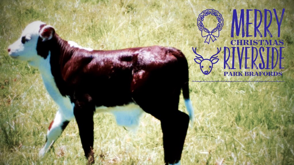 Joshua Gilbert tweet media