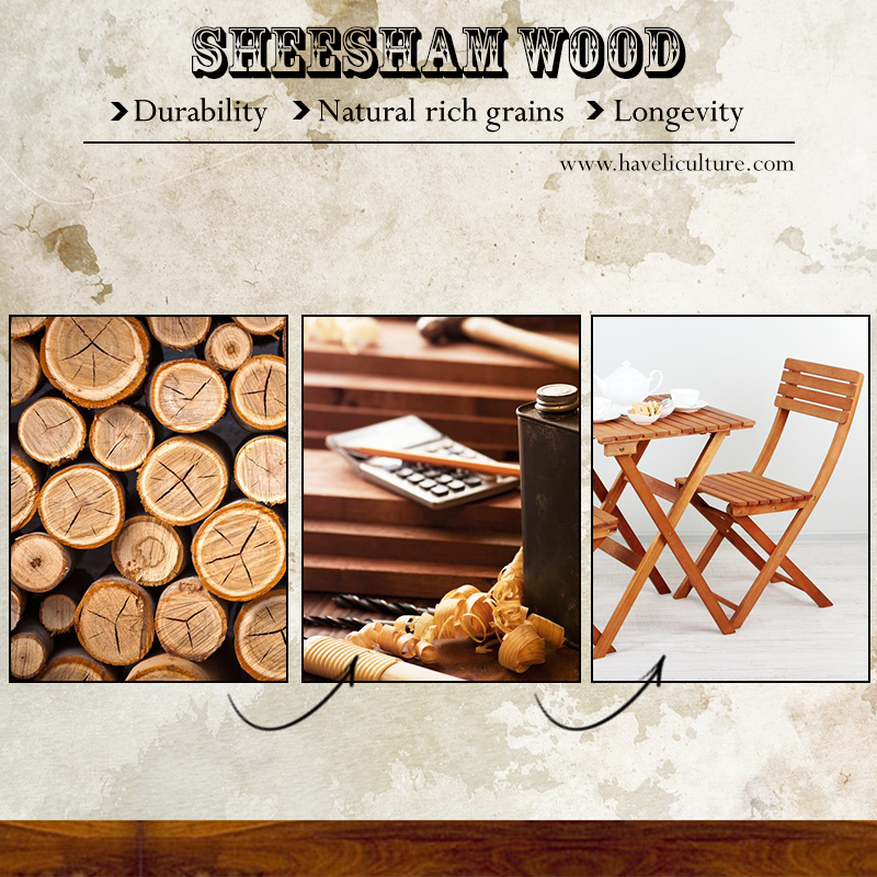 HB_Shekhavati's tweet photo. Sheesham wood is known for its durability, natural rich grains &amp; longevity.
Explore more: https://t.co/kpdrR8MYGB https://t.co/IR54uacesS