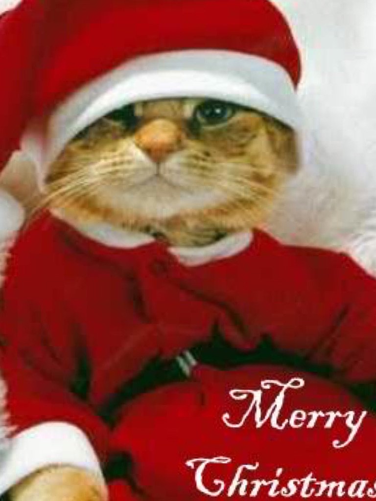 SuehaSW's tweet image. Lots of love
From us both
xxx pic-collage.com/_4jklyB7s