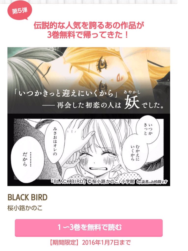 桜小路かのこ 12巻発売中 ｌｉｎｅマンガさん 読者の時間ですさんなどのサイトでまた ｂｌａｃｋ ｂｉｒｄ が３巻まで無料で読めるキャンペーンをやってもらってるようです 年末年始のお時間あるときにどうぞ T Co Prv3f8hw9h