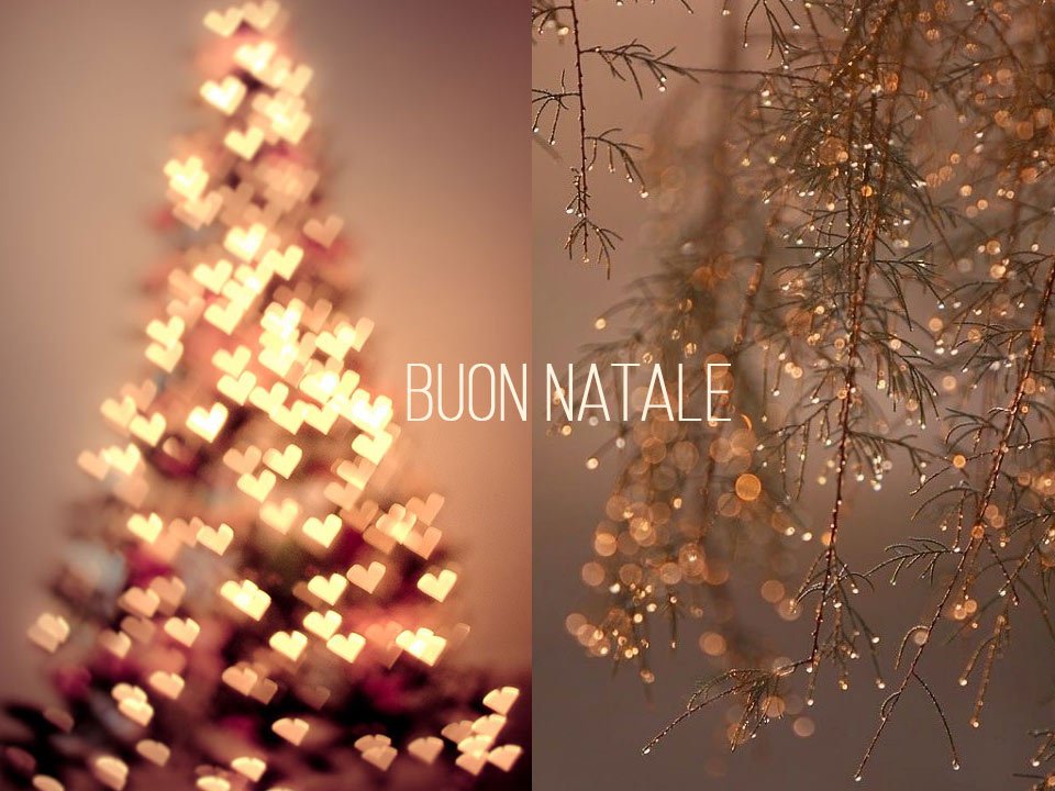 BioNike_France's tweet photo. Toute l’équipe de Bionike vous souhaite, du plus profond du cœur un  Buon Natale <3 #bionike #noel #buonnatale https://t.co/O5mQwgqkno
