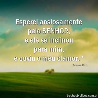 flor_will tweet picture