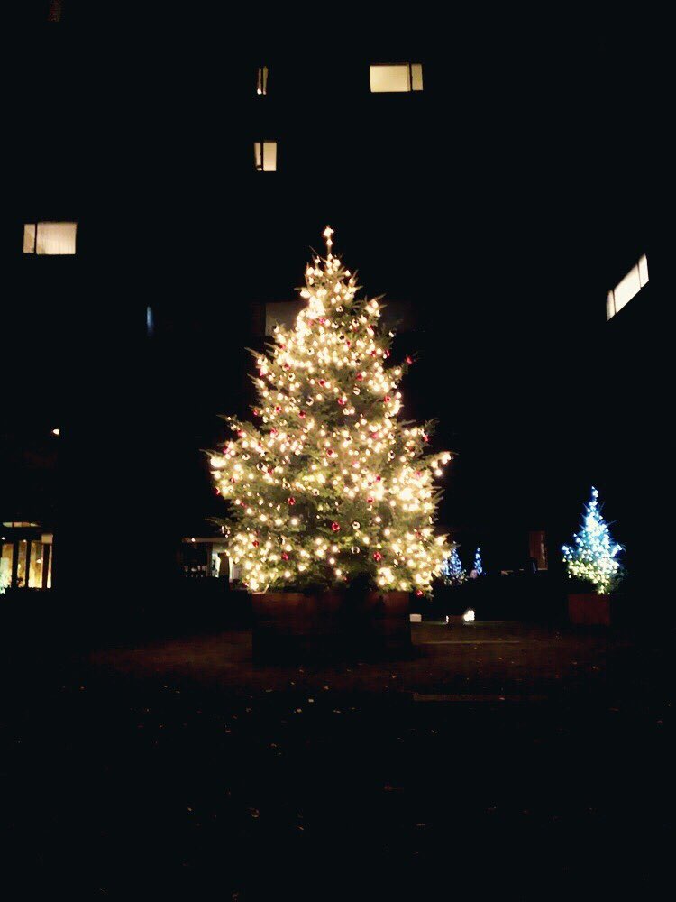 [#은지] 제가찍은 크리스마스 트리에요ㅎㅎ 남은 크리스마스 마음껏 만끽하시길..
굿밤 #Apink #에이핑크 #정은지