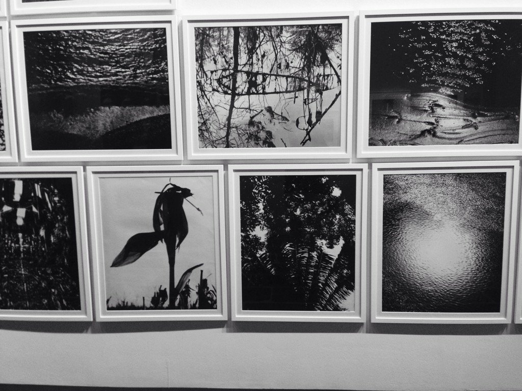 MyBooxMyLife's tweet photo. Gros coup de cœur pour les lumières et les contrastes de #LucienClergue #GrandPalais #photography #inspiring https://t.co/1NsqVpviiP