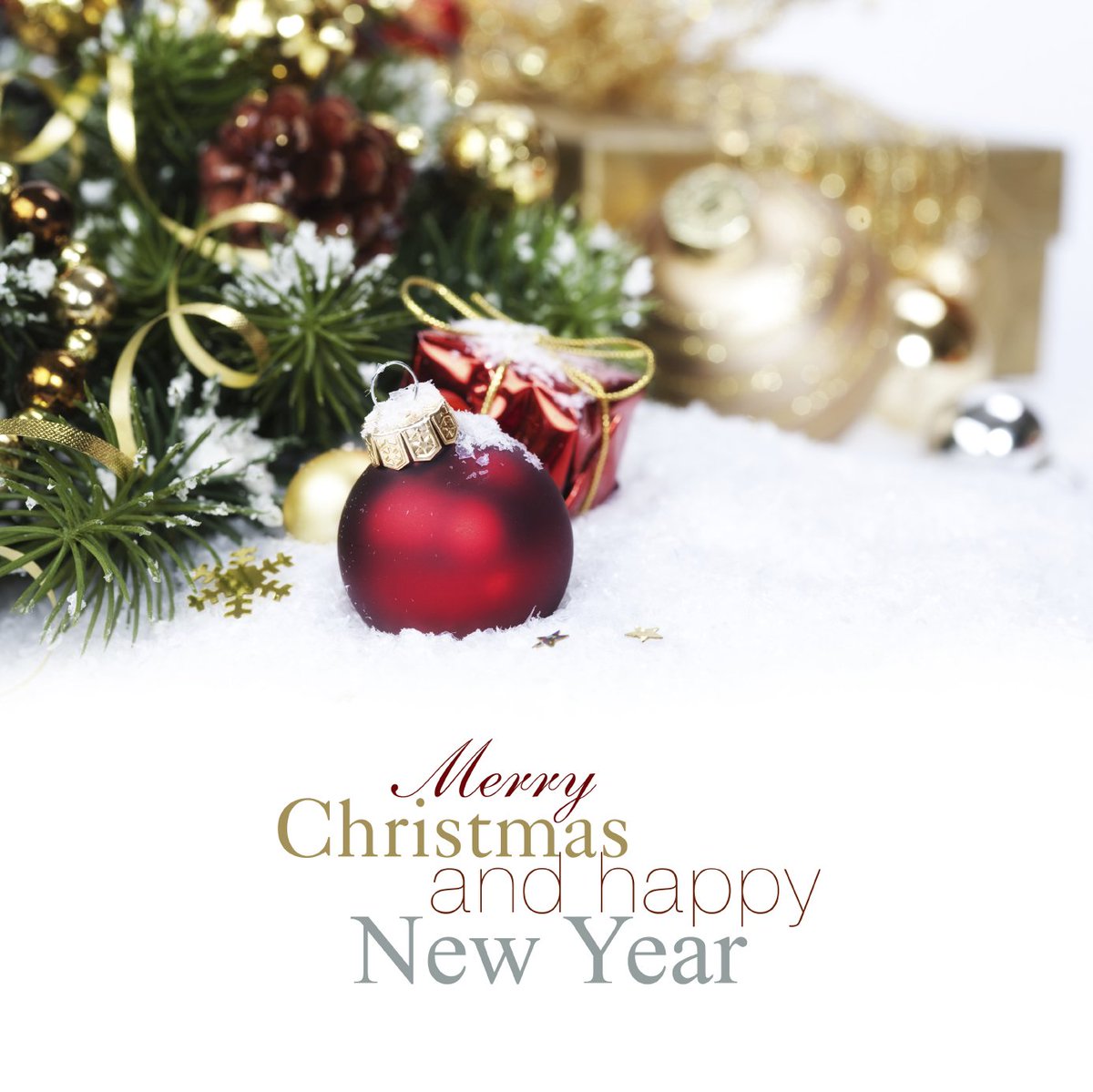 StephenAutoBody's tweet image. Wishing you all the best today!