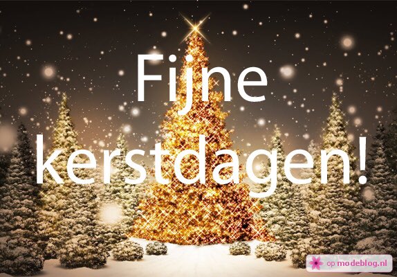 Stichting Babadag-Roemenie wenst u fijne kerstdagen toe 🌲🌲