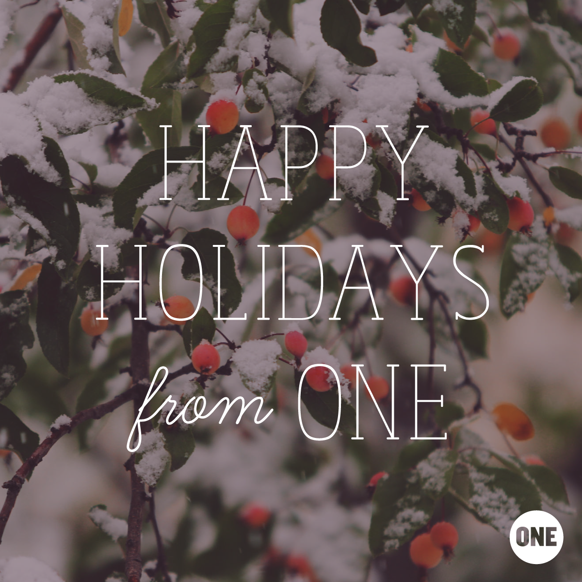 ONEinAfrica's tweet photo. May all of your days be merry and bright this holiday season! https://t.co/ReUWSqBivg