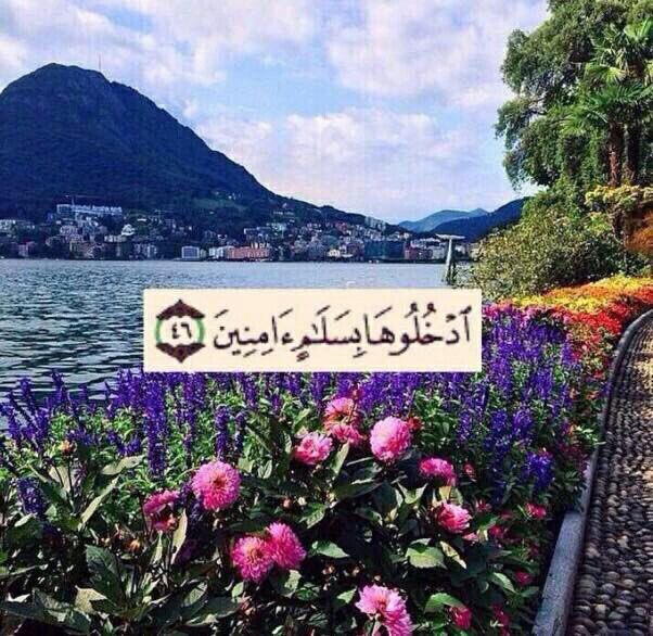 amyr___07's tweet photo. اللهم اكتبنا من أصحاب هذه الآيات . https://t.co/DTWBAOh6kA