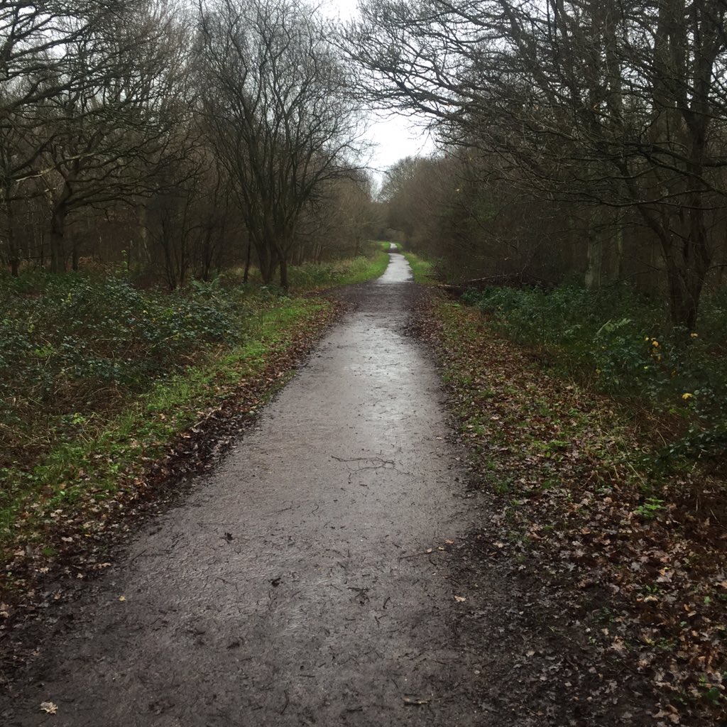 Sportingloy's tweet photo. #Xmascise in #EppingForest - Merry Christmas! https://t.co/EWIaeDzkeP