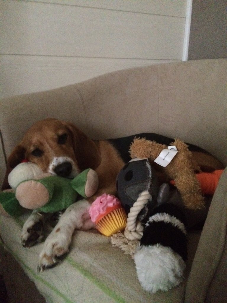 Got a ton of present for Christmas! Merry Christmas guys :)