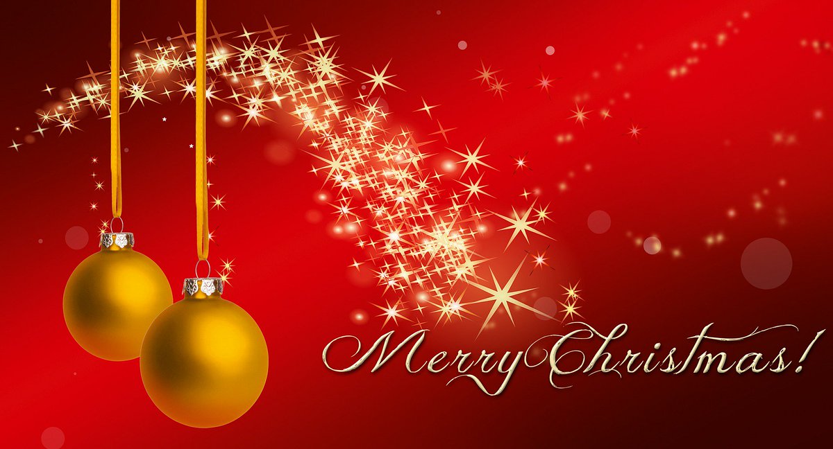 dogtrainingfun's tweet photo. Merry Christmas https://t.co/cvn2Ou4Cqr
