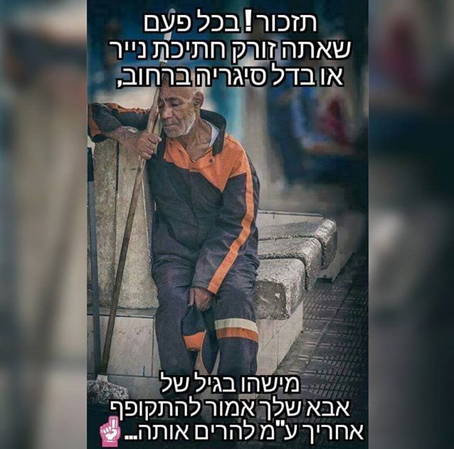 ✨sapir sudai✨ tweet media