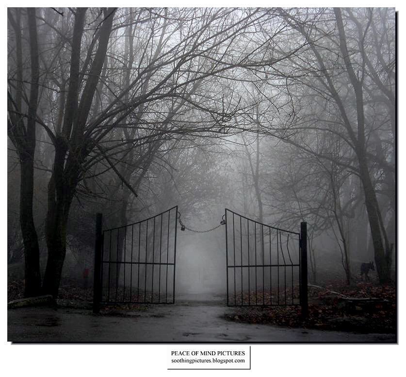 1069tiger's tweet image. Just woke up to this enchanted thought, the next layer of Deadly Roots.....