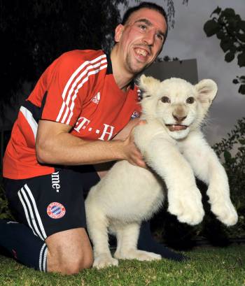 PetiteEquipe's tweet photo. Ribery : "Pour Noël ? j'ai offrir un chat à Wahiba"
#JoyeusesFetes https://t.co/wFzrH8kS3Q