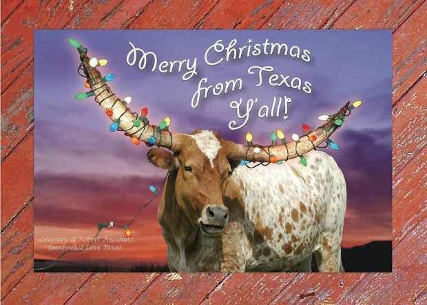 Merry Christmas!!! With love...