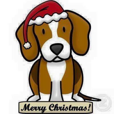 BeagleCeramics (@beagleceramics) on Twitter photo 