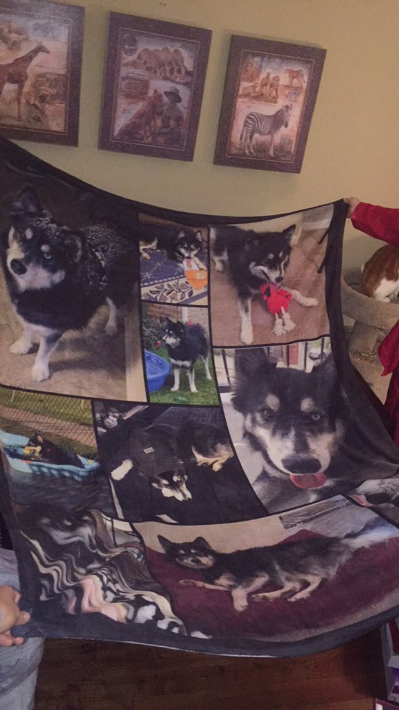 lauren_maupin24's tweet photo. Who else can say they got a blanket of their dog #bestever #momknowsme #merrychristmas #softandfuzzy https://t.co/kkM2KRTp5V