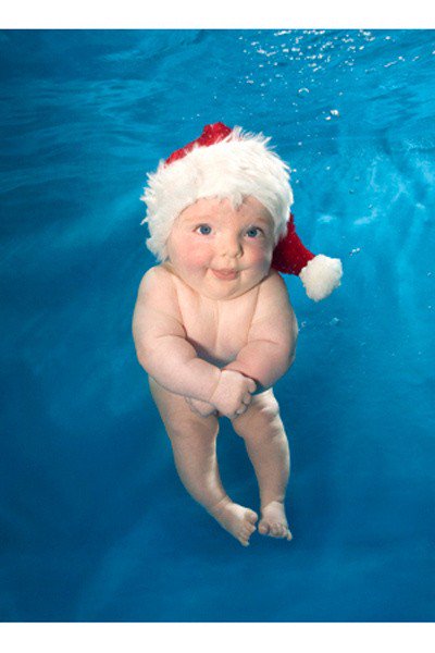 Movie_mistake's tweet photo. 21 Awkward Christmas Photos That Can NEVER Be Explained https://t.co/gZ3BOwUr8V https://t.co/y4HTPsYcER