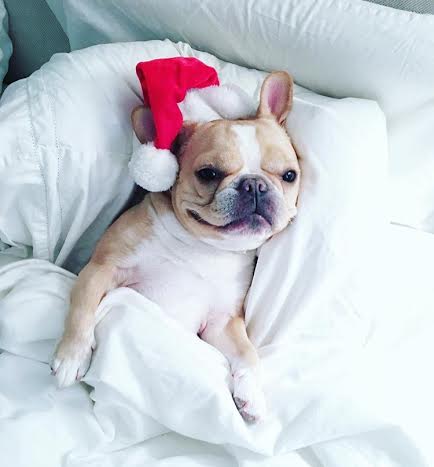 1400HiLine's tweet image. MERRY CHRISTMAS!