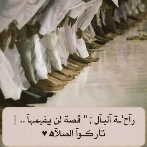 hanen_1973's tweet photo. #قروب_هند_للتبادل
#قروب_حجازيه_للتبادل
#قروب_العفراء_للدعم
#قروب_مختلف_للرتويت
#قروب_تكاتفنا_للدعم https://t.co/jzIchXsR5u