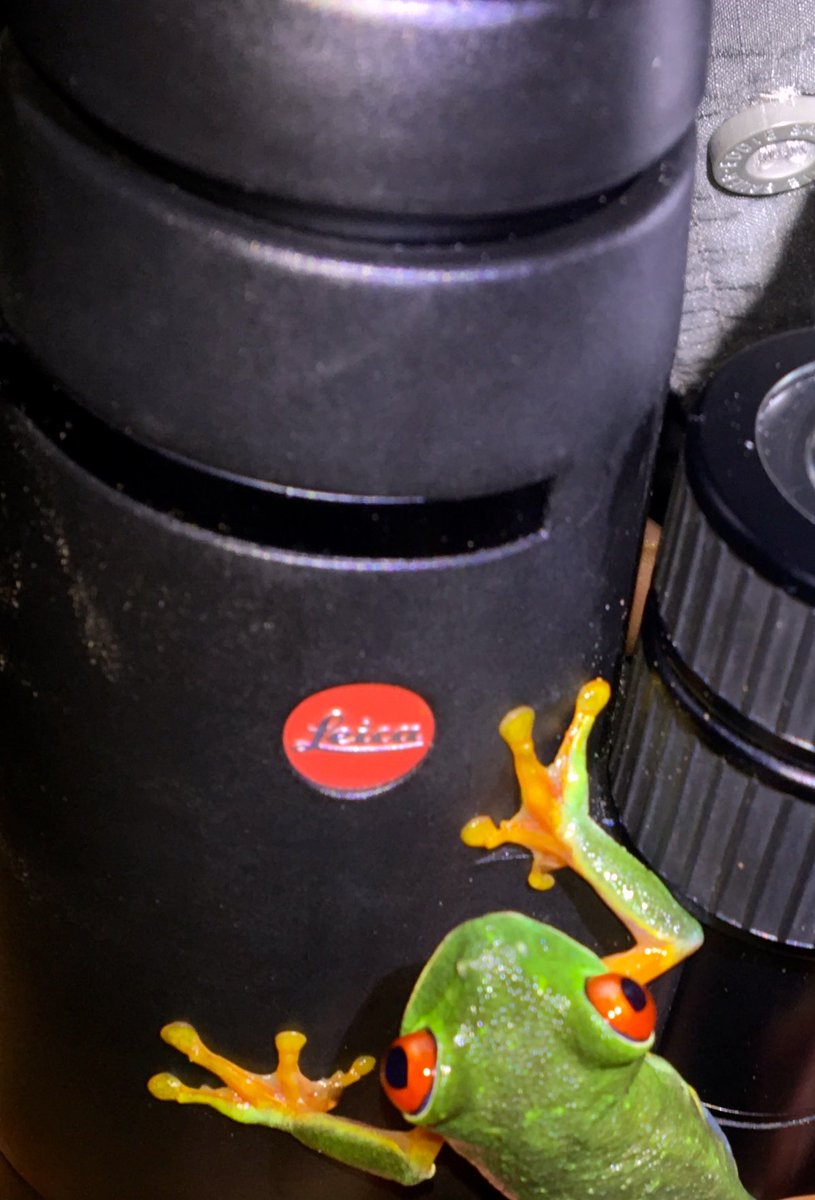 LeicaBirding's tweet photo. Seems the NEW Leica Trinovid HD binoculars were tested in some extreme low light and passed! https://t.co/yQ4RFJwf0B https://t.co/ZqpmvZHmt8