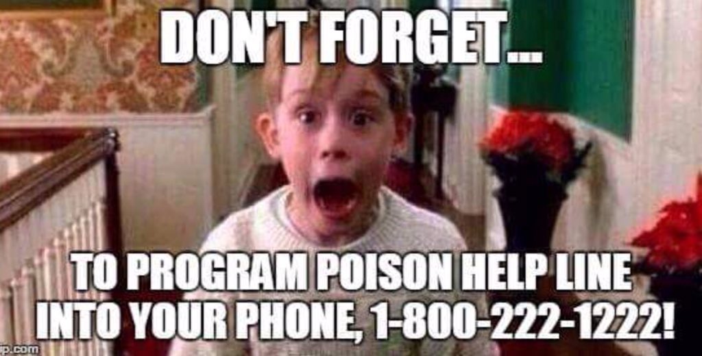 PittGenRx's tweet photo. Children easily mistake medicine for candy. Make sure you're ready for any incidents this season! https://t.co/FzJSGDLaVM