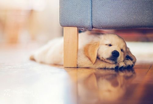 DeadlyThighs's tweet image. I can't believe I really did this... Oh well. Merry Christmas, @CaptnSpangles.