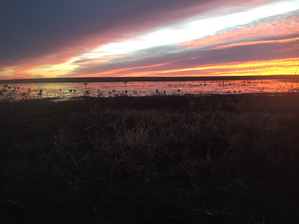 garrettgundogs's tweet photo. Merry Christmas from the Duck Blind. #neweracalls #doyourdamage https://t.co/jx60JM1Yt9