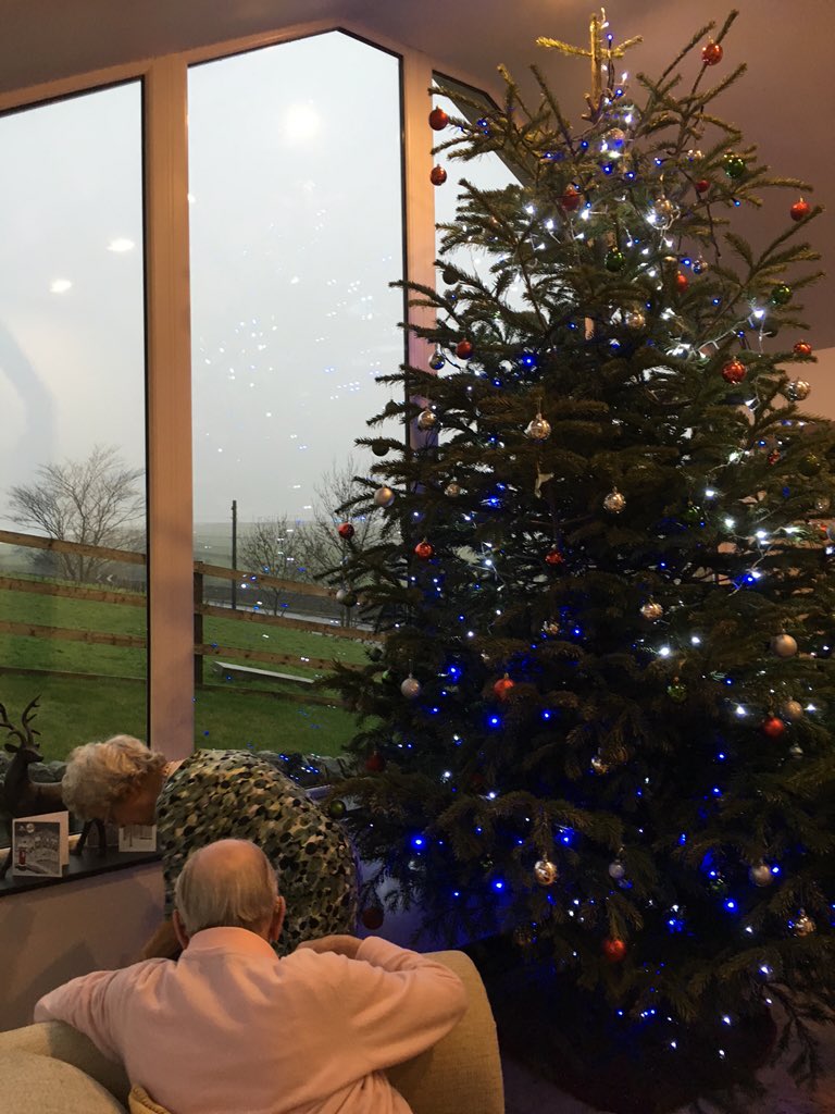 McSpaffin's tweet photo. I think my uncle is over compensating for something
#GiantTree
#TinyTwig https://t.co/zr8LKibdfI