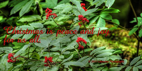 WyoComPub's tweet photo. Christmas is peace and joy for us all! https://t.co/xRaDnJ6zEL #Christmas #peace https://t.co/ExIrfemx9J