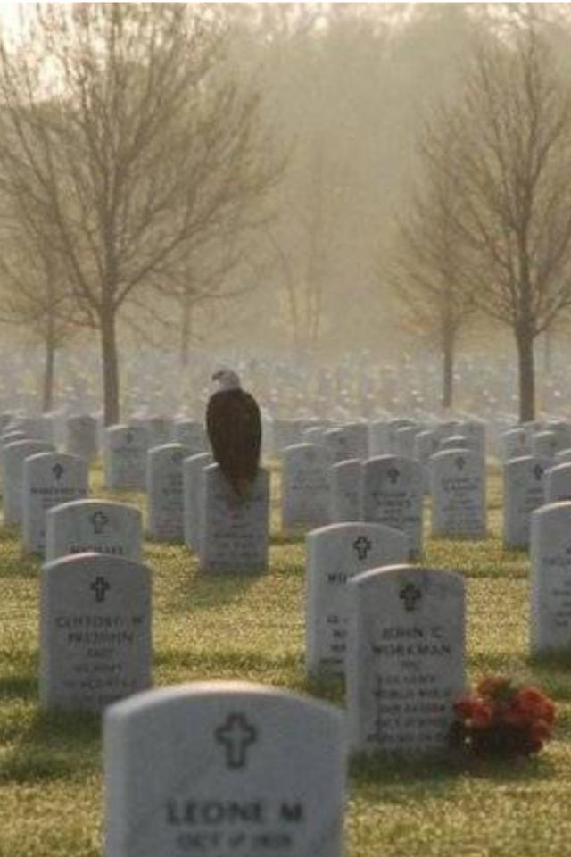 breachpoint's tweet photo. You are not forgotten!
#america #Christmas #family #NASCAR #gop #Hannity #honor #military https://t.co/7zs97ePMVf