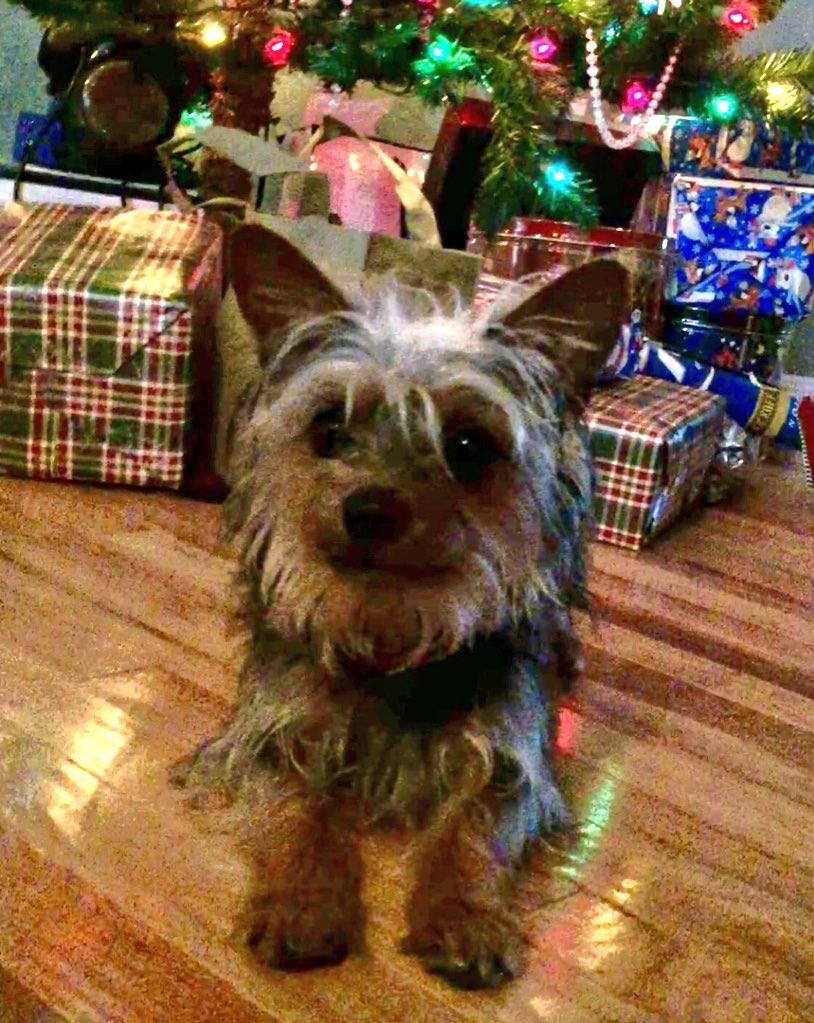 JackieBurry's tweet photo. Merry Christmas! ☺️🎄🎅🏽 https://t.co/lNhjyVcXet