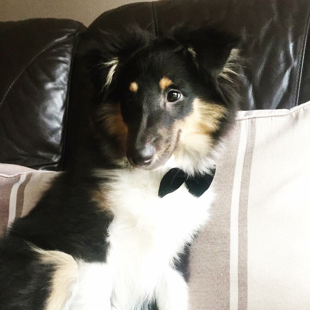 Little Lincoln's first Xmas #lookingdapper