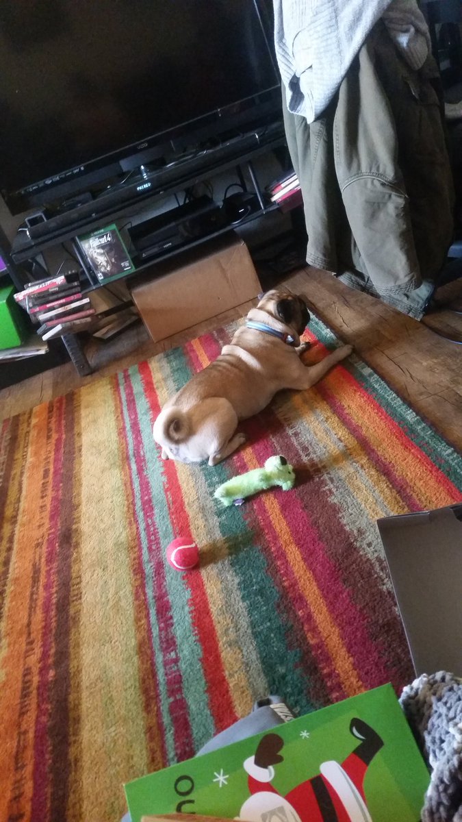 MosbythePug's tweet photo. Bow wow my ball has abandoned me  and i feel so lost bow wow wow https://t.co/u26afwmWt8