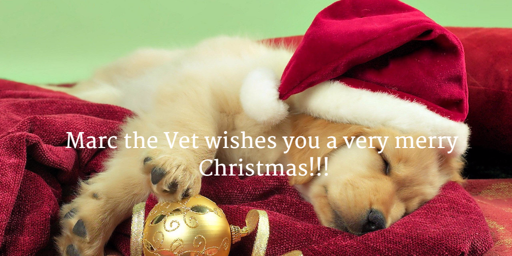 #CanineCareWithMarcTheVet
buff.ly/1LzRLi0