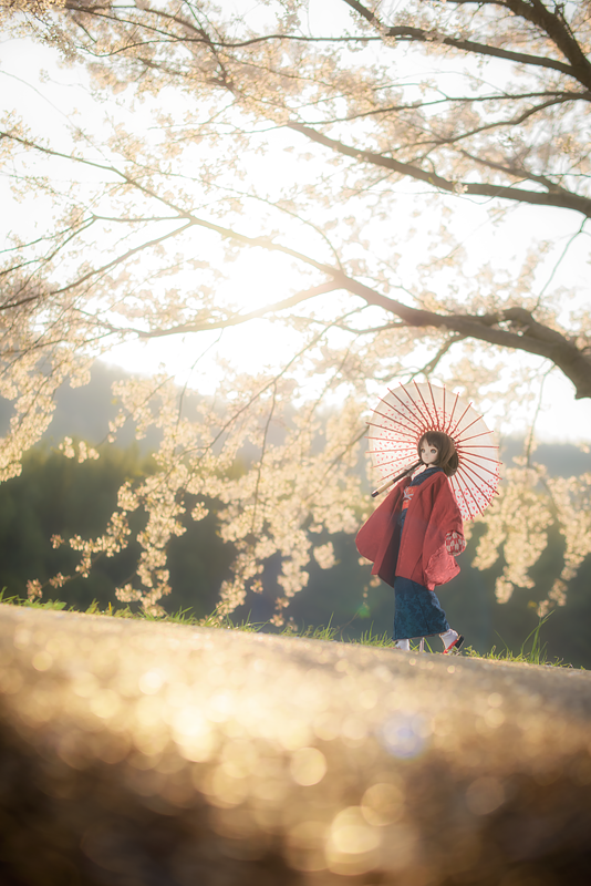 kitamin08's tweet photo. 50mmが大好きな一年でした♪
広角は使い方が解らなくなってしまったw
#2015自分が選ぶ今年の4枚 https://t.co/f1ht4X609m