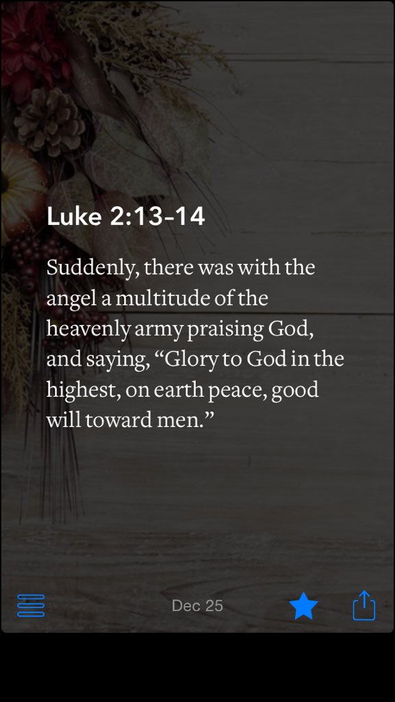 Perry Central Prayer (✸,✸) Reddio tweet media