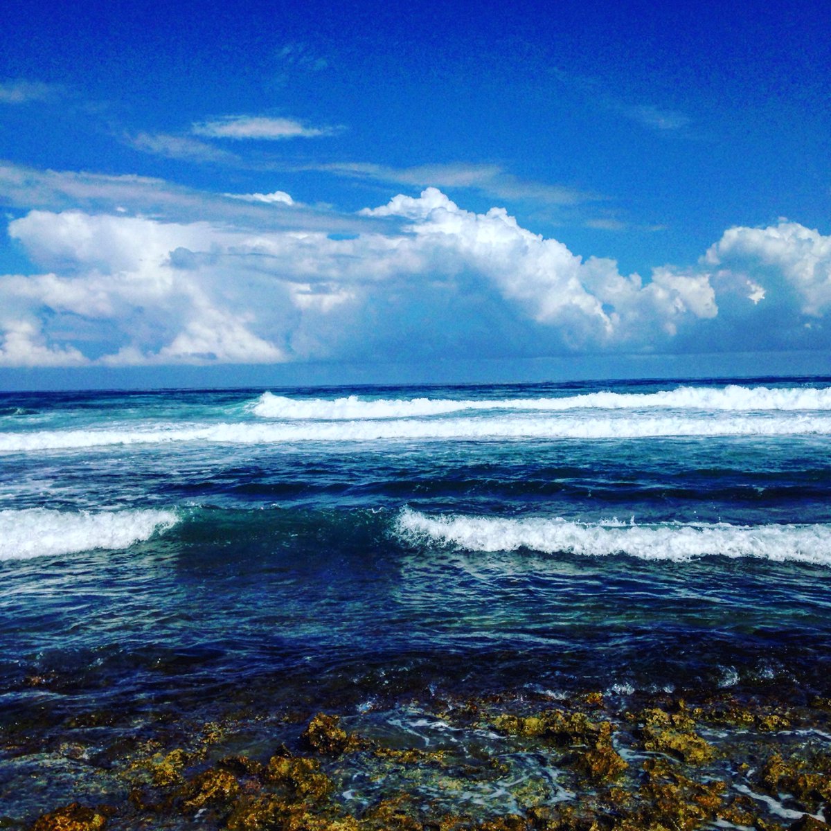 Rootedthoughts's tweet image. Merry Christmas from the #RootedThoughts team from somewhere between the #Caribbean &amp;amp; #CentralAmerica. #Travel