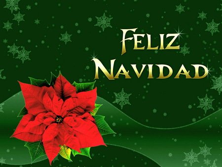 Have a fun, safe, and food-filled Christmas, amigos!