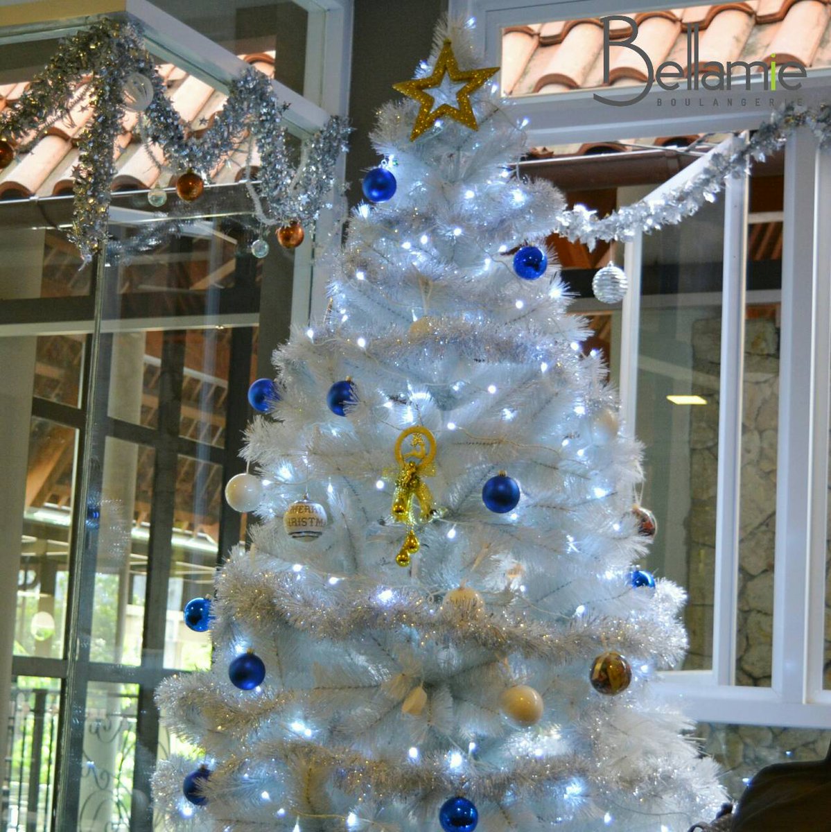 bellamie_b's tweet photo. Don't be sad when Christmas gone, coz @bellamie_b will provide you more and more delicious food 😉😉😉 https://t.co/gG3TvfjDt9