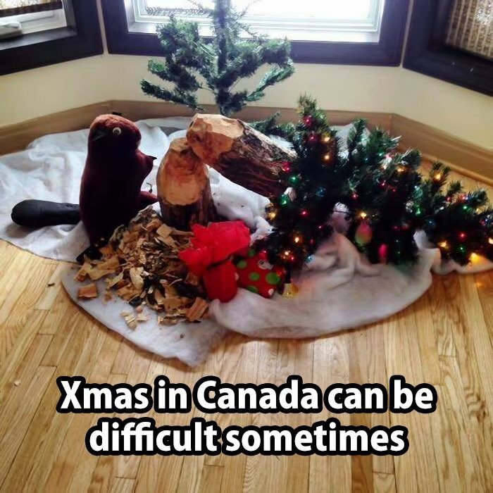Merry Christmas to you, your family, your neighbours, your colleagues, your friends, to EVERYONE!
But watch ur trees