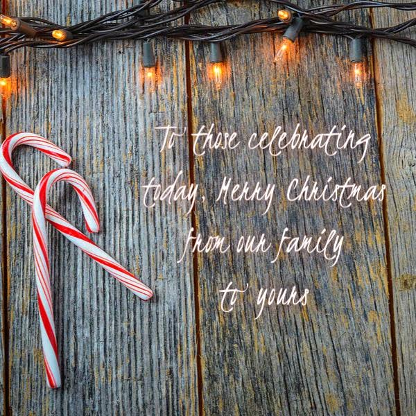 maidperfectnc's tweet photo. Merry Christmas! https://t.co/d5JC3UQYQE