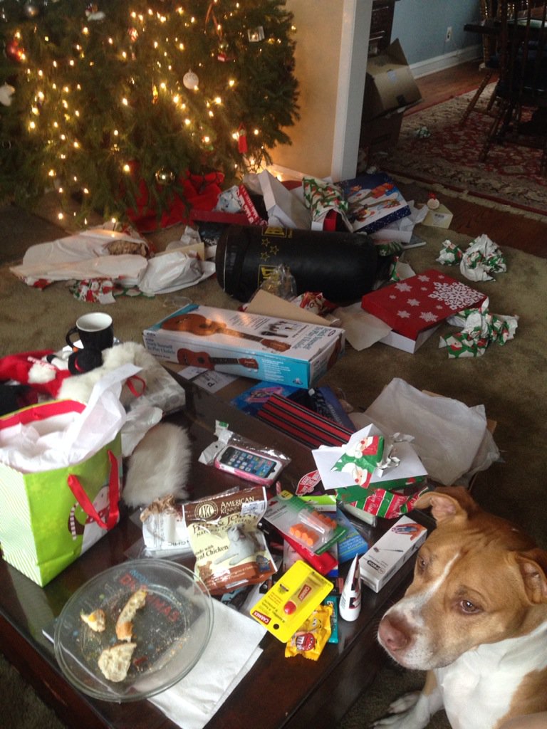 7ate9Design's tweet image. Christmas mess success! Happy Christmas everyone.