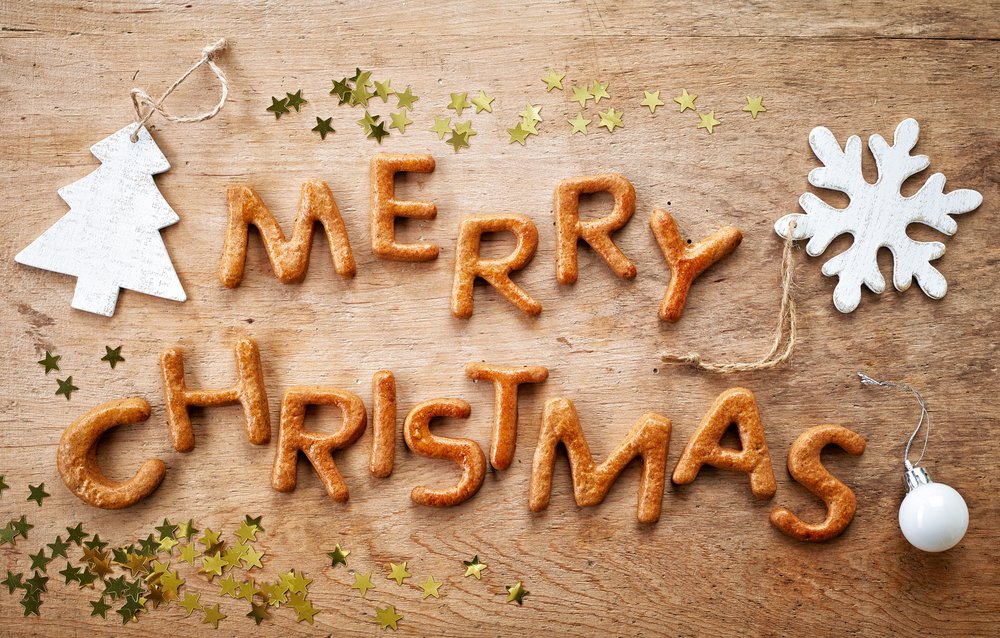 WarrensLodging's tweet photo. Merry Christmas from all of us here at Warrens Lodging! https://t.co/ShCD7oMKX2